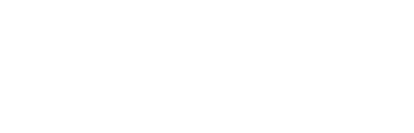 Gesfor Group